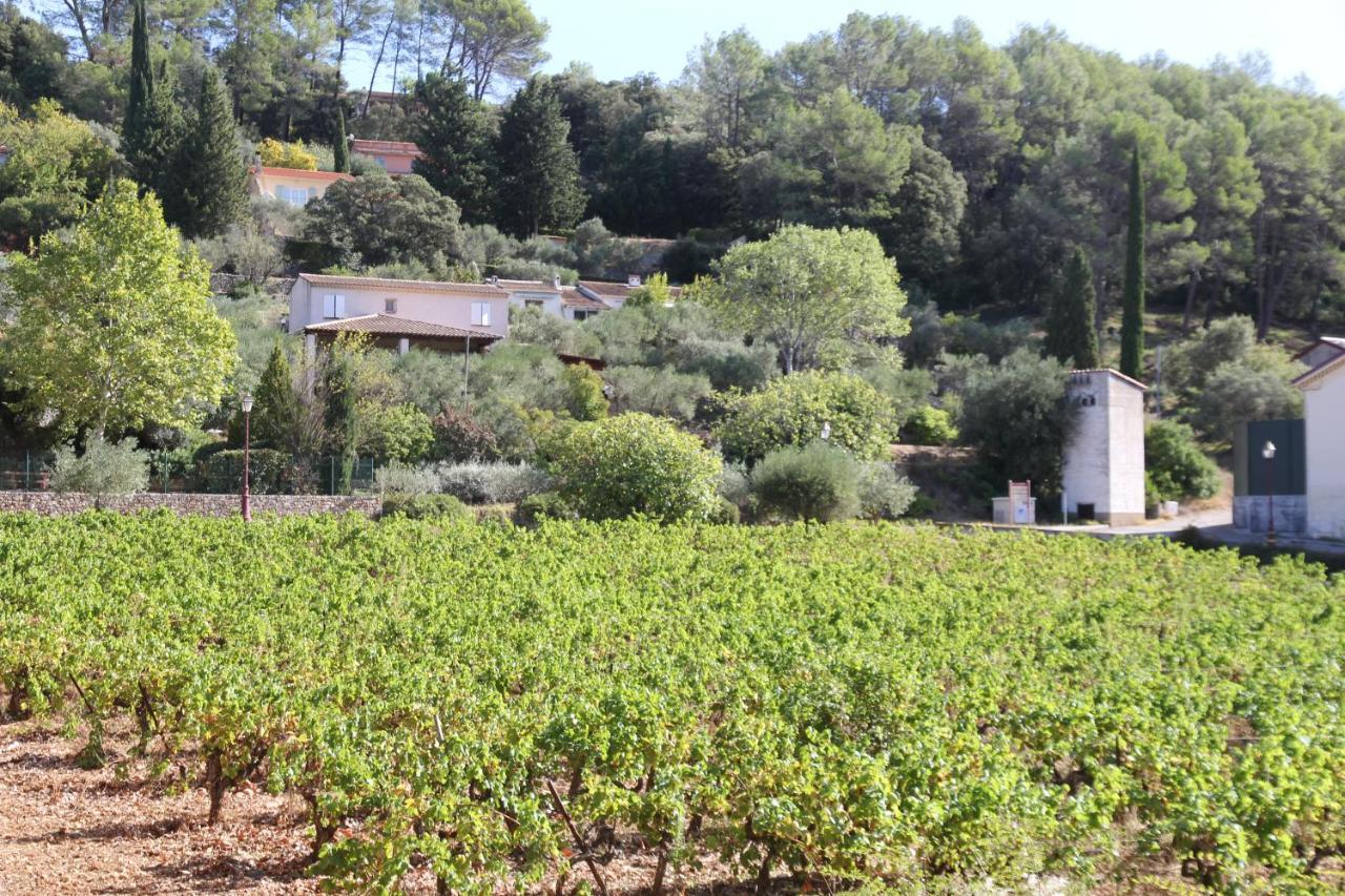 Villa Location Gite Dans Le Var à Le Thoronet Extérieur photo